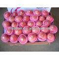 Sell Yantai Fresh Red Fuji Apple